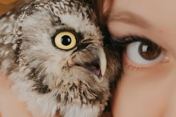 Lottomart Casino Assistance